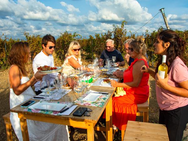 Degustazioni tra i vigneti