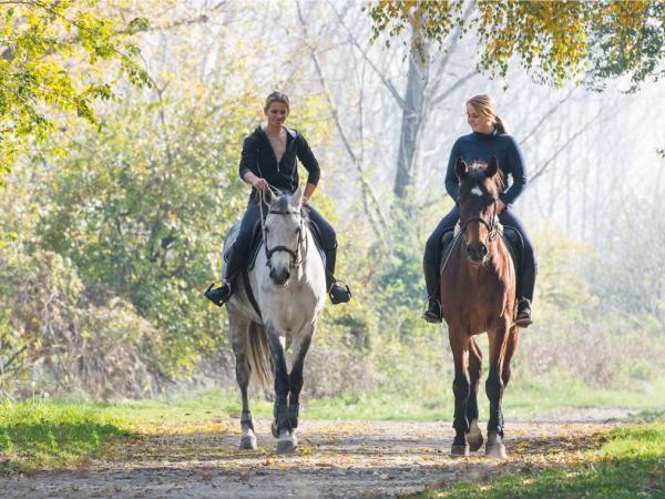 Passeggiata a Cavallo