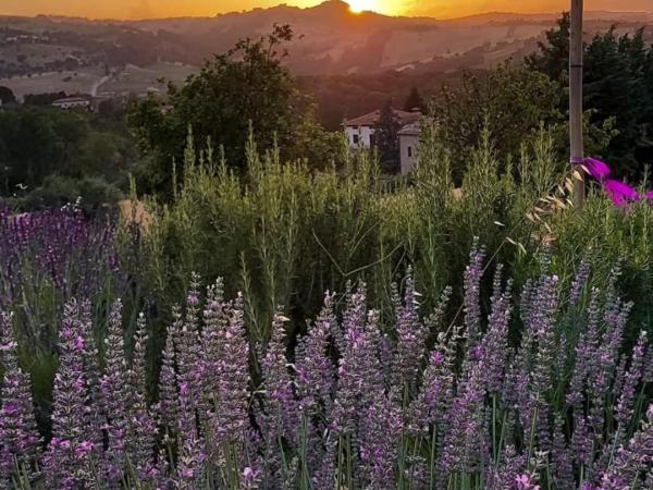  Storie e leggende, tra le querce e la lavanda.