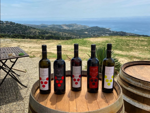 Degustazione di vini