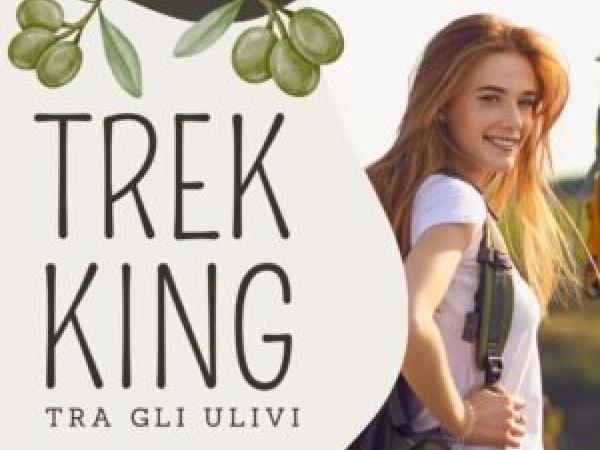 Trekking tra gli ulivi – Radici & Memoria