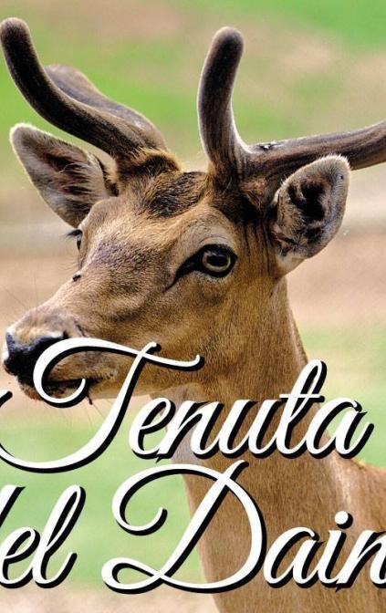 Tenuta del Daino