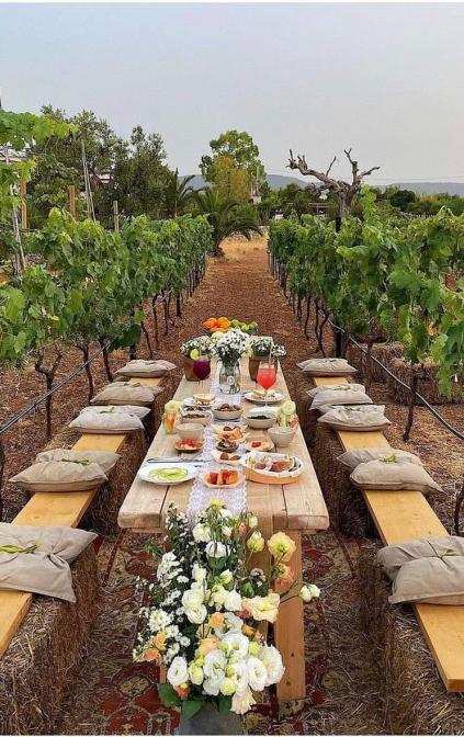 Cena in vigna