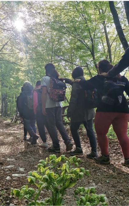 Bagno di Bosco nella faggeta del Monte Motola