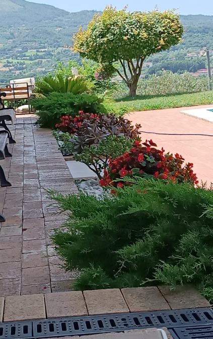 Giardino
