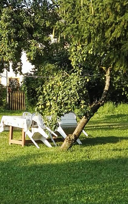 Giardino a disposizione 