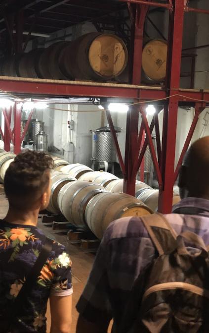 Librandi Winery Tour