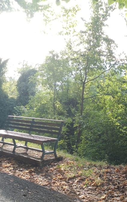 Siamo nel cuore del Parco Nazionale della Majella,  che da Aprile 2021 è diventato Geoparco Mondiale dell'Unesco.  Numerosi sono i sentieri immersi nella natura, adatti agli amanti del trekking e walking, selezionati secondo il grado di difficoltà e percorribili anche in mountainbike noleggiate in loco.  A 3 minuti a piedi dalla casa, c'è il centro visite, punto di partenza per i sentieri della Valle dell'Orfento. 