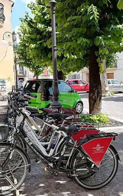 Bici elettriche