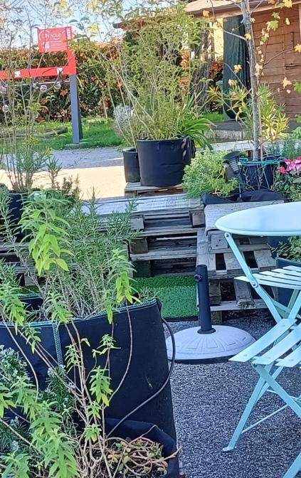 Balabuska Rooms & Garden