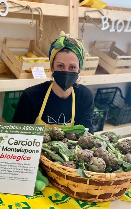 Carciofi di Montelupone biologici in esposizione