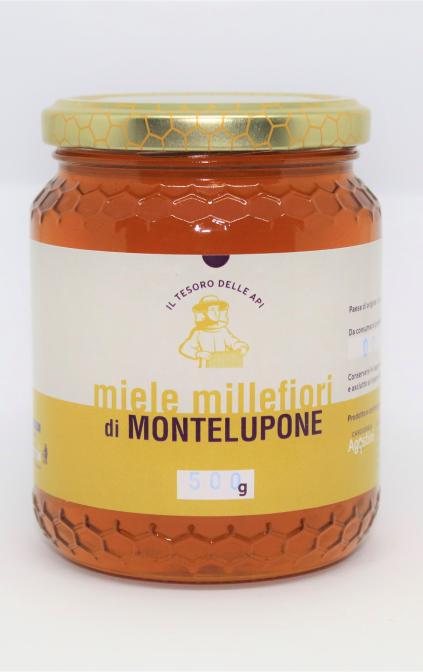 Miele millefiori di Montelupone in vaso da 500 gr.