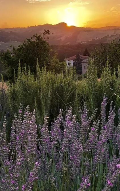  Storie e leggende, tra le querce e la lavanda.