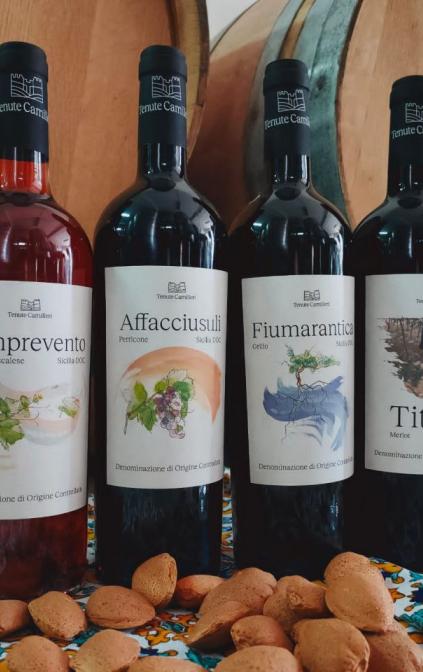 Tra l'ulivo e la vite