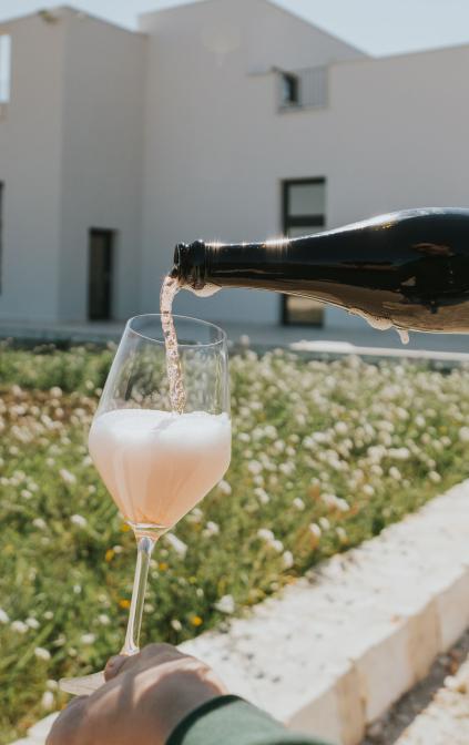 Wine Tasting in a Masseria