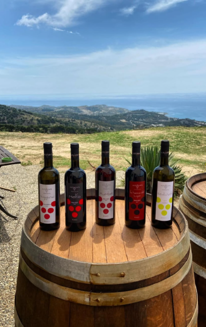 Degustazione di vini