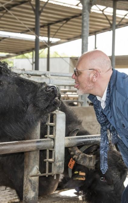 visita e degustazione  in azienda di bufale 