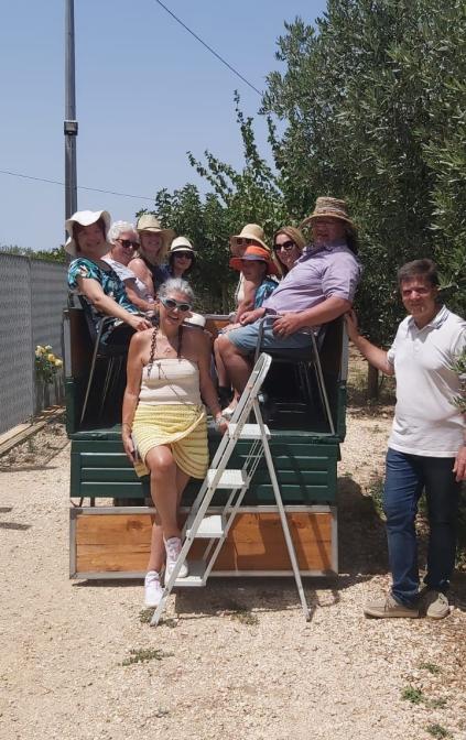 Passaggiata tra gli uliveti sul trattore