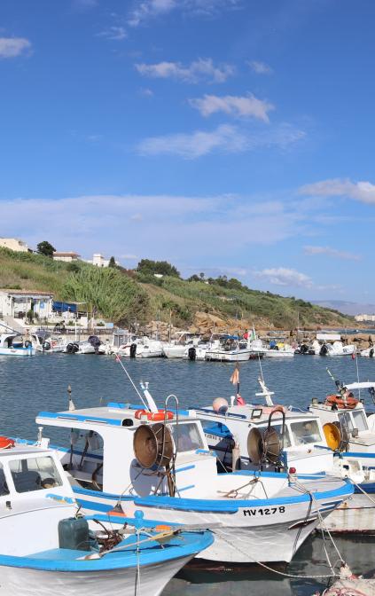 Pescaturismo a Selinunte – Radici & Mare