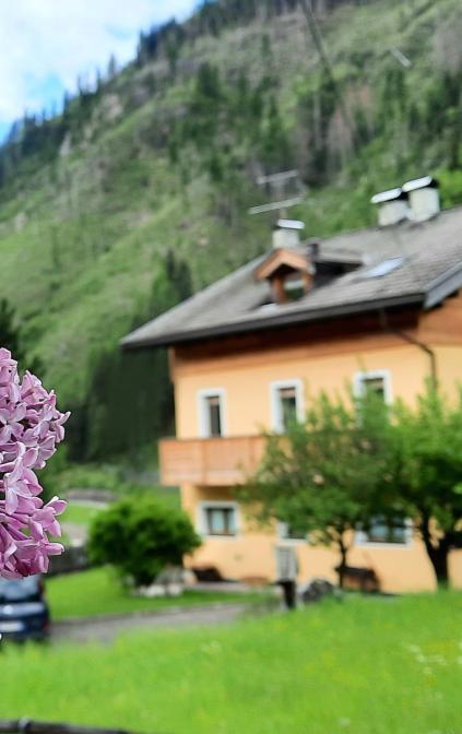 la nostra casa abbracciata dal verde alpino